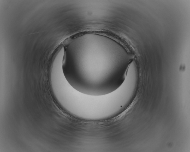 X0000094421449200712061040