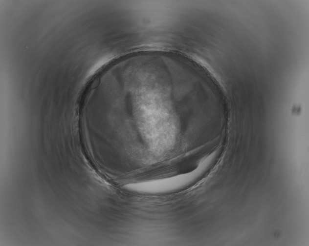 X0000094421450200712061040