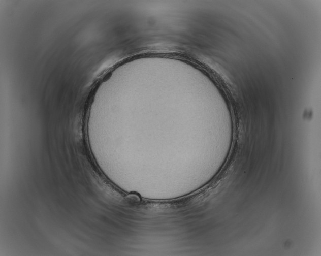 X0000094421451200712061040