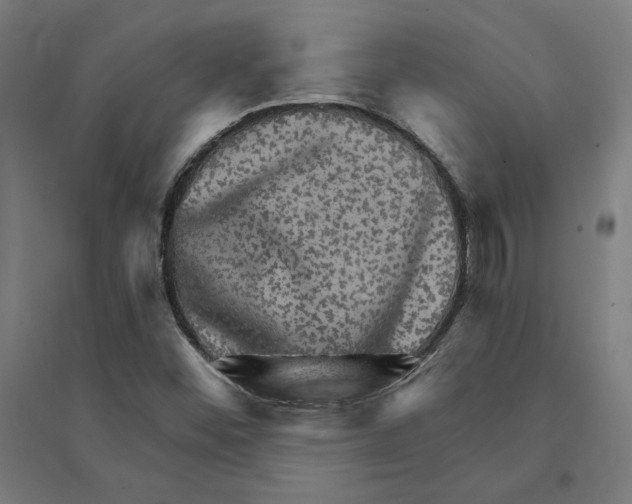 X0000094421452200712061040