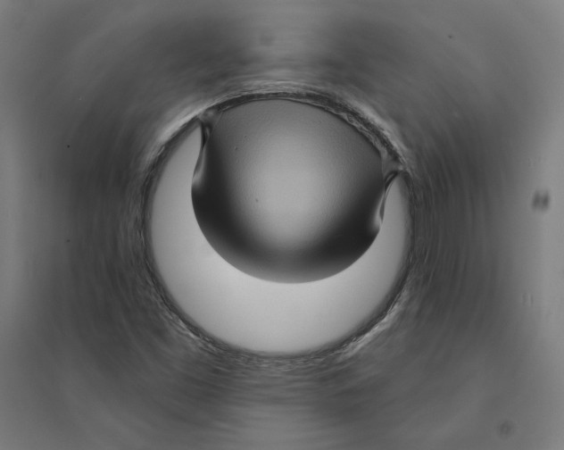 X0000094421453200712061040