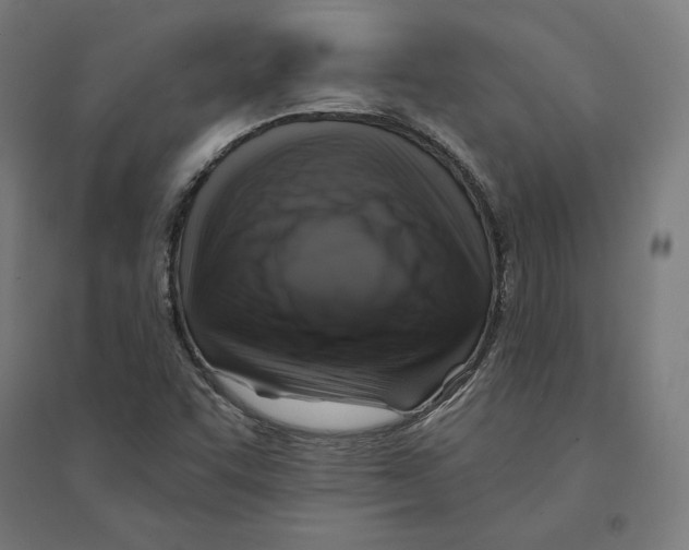 X0000094421455200712061040