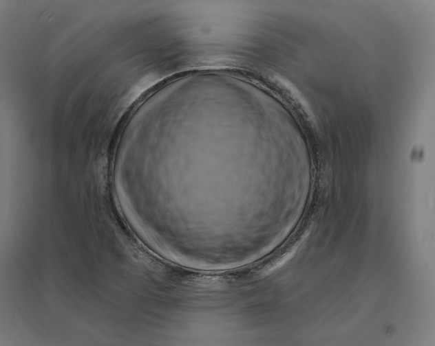 X0000094421457200712061040