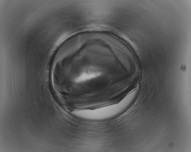 X0000094421459200712061040