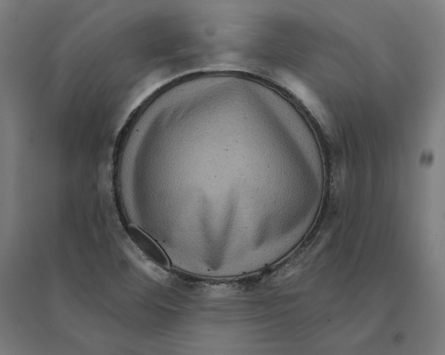 X0000094421460200712061040