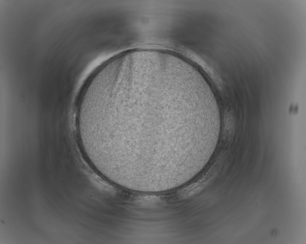 X0000094421462200712061040