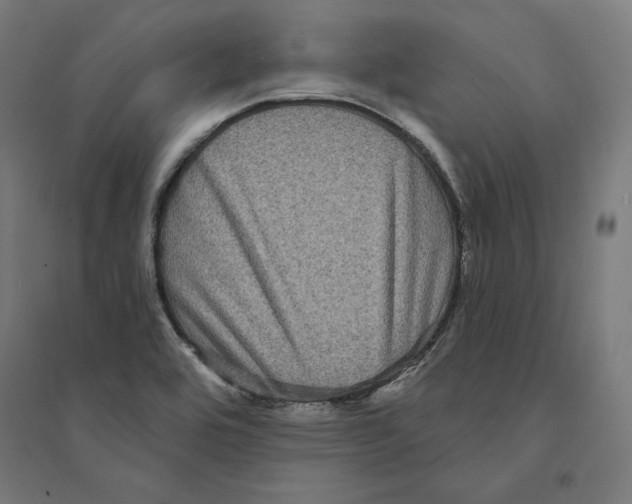 X0000094421464200712061040