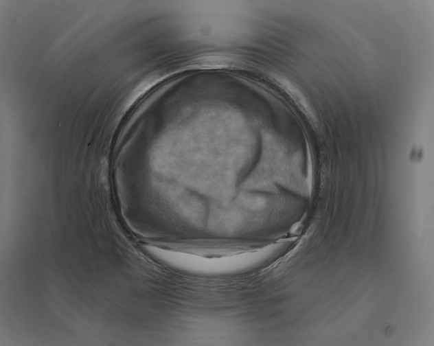 X0000094421465200712061040