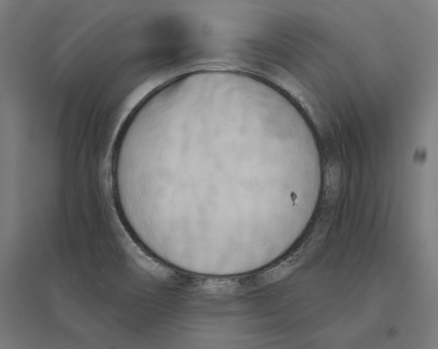 X0000094421466200712061040