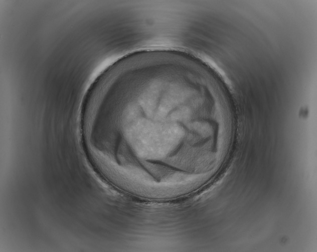 X0000094421469200712061040