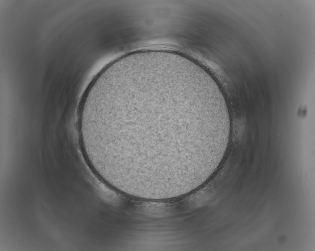 X0000094421470200712061040