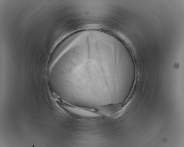 X0000094421473200712061040