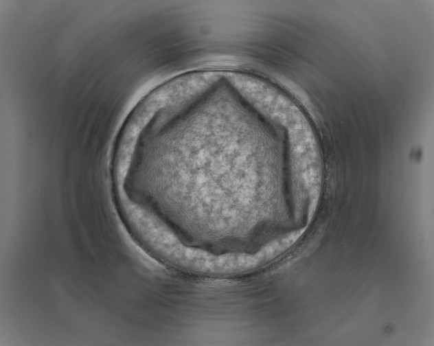 X0000094421475200712061040