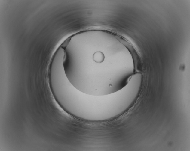 X0000094421476200712061040