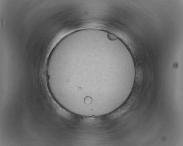 X0000094421478200712061040