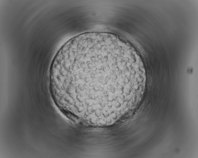 X0000094421479200712061040