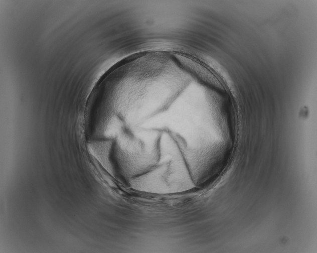 X0000094421481200712061040