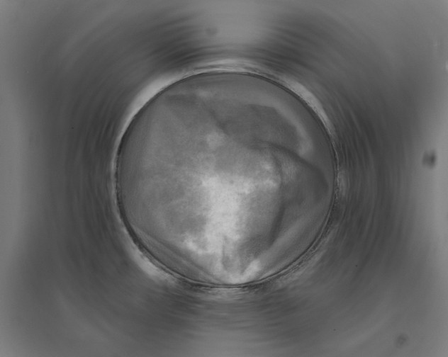 X0000094421482200712061040