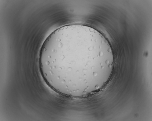 X0000094421483200712061040