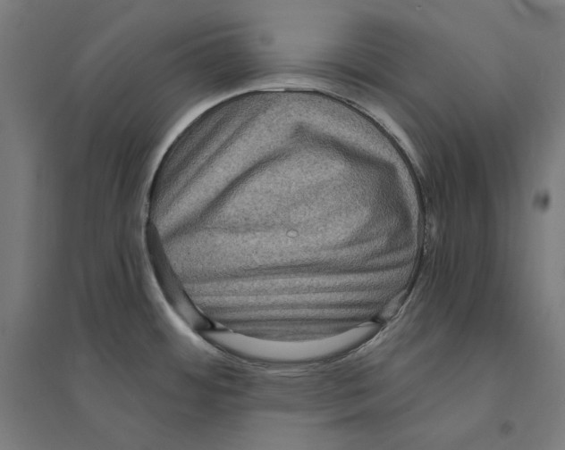 X0000094421484200712061040