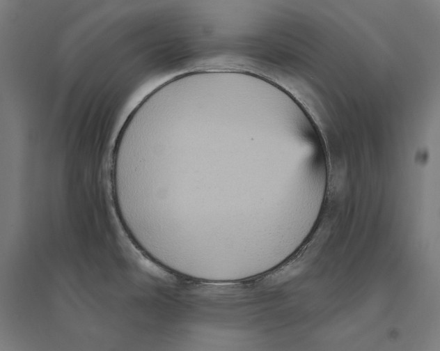 X0000094421486200712061039