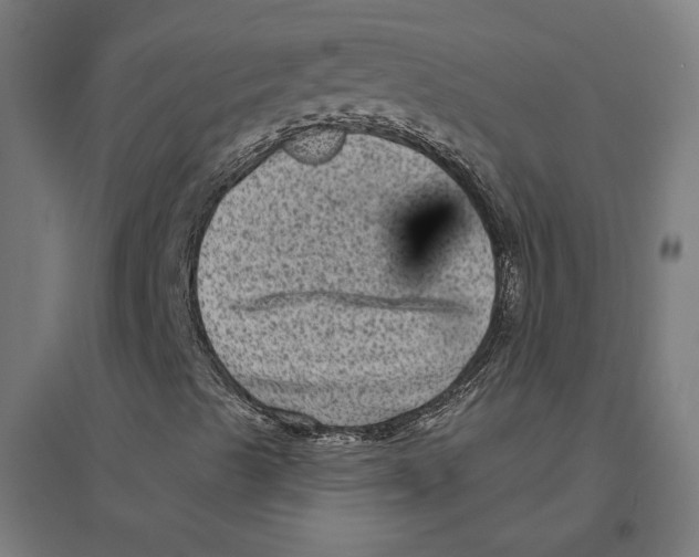 X0000094421489200712061039