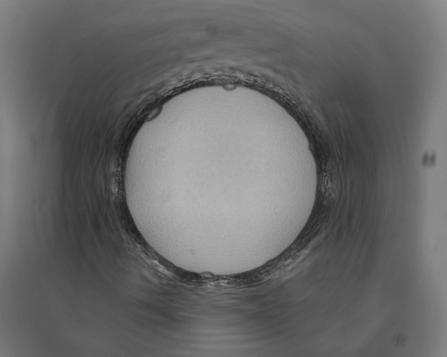 X0000094421490200712061039