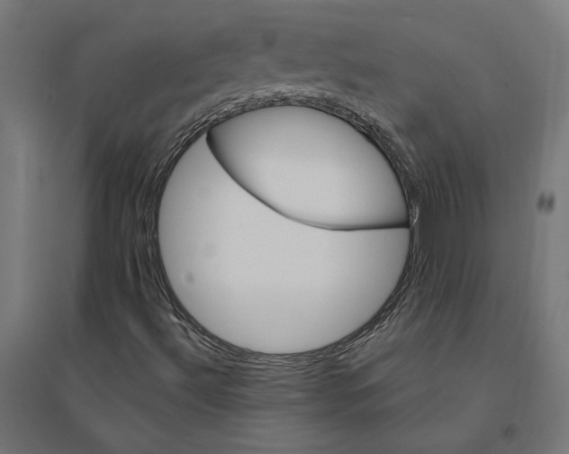 X0000094421492200712061039