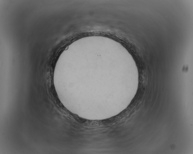 X0000094421493200712061039