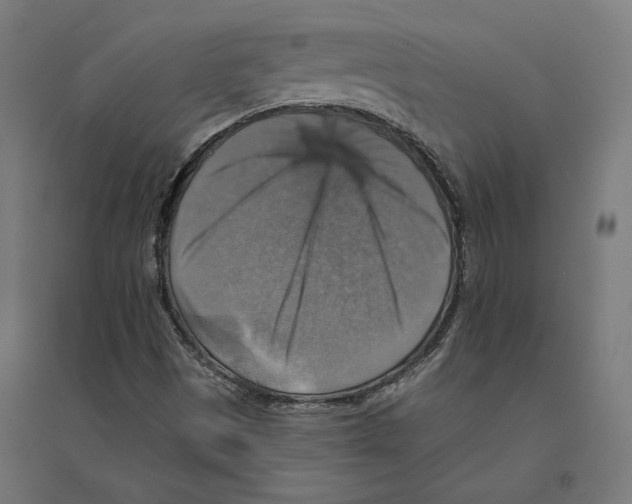 X0000094421497200712061039