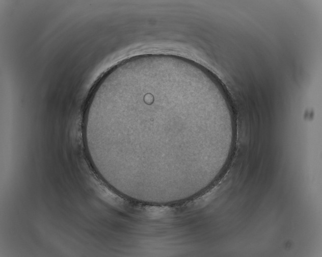 X0000094421498200712061039