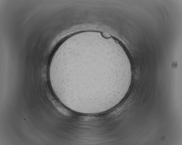 X0000094421499200712061039