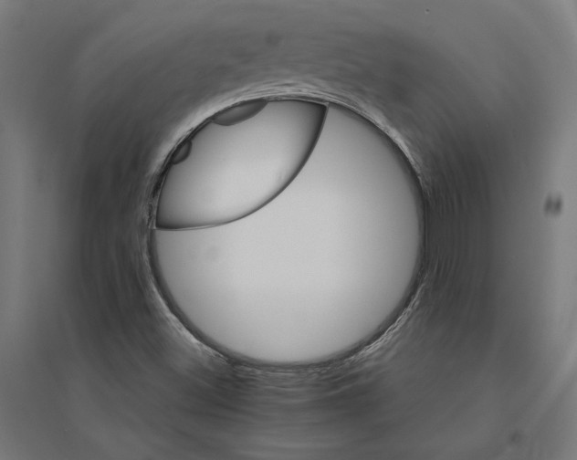 X0000094421500200712061039