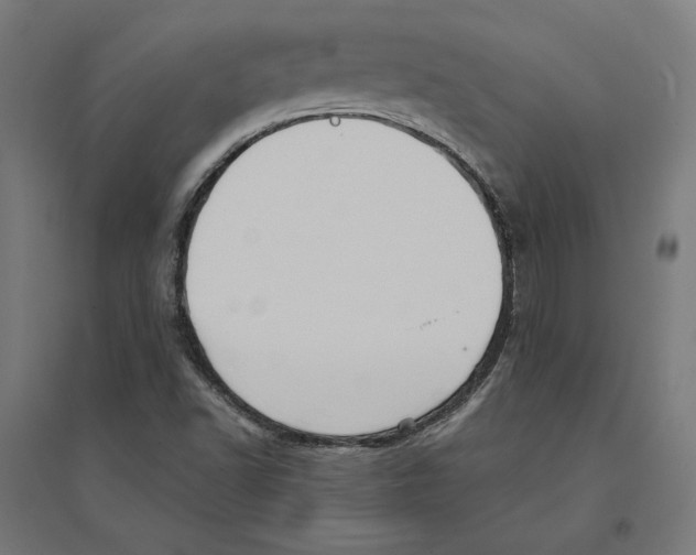 X0000094421502200712061039