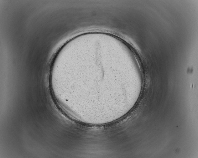 X0000094421504200712061039