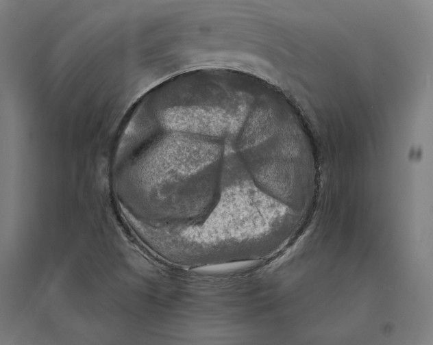 X0000094421505200712061039