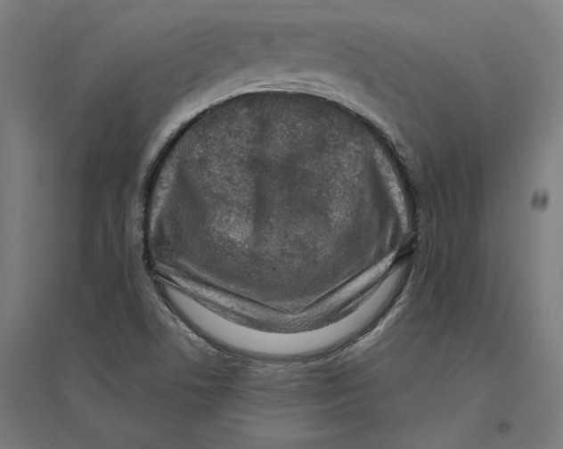 X0000094421506200712061039