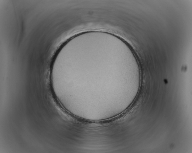 X0000094421507200712061039