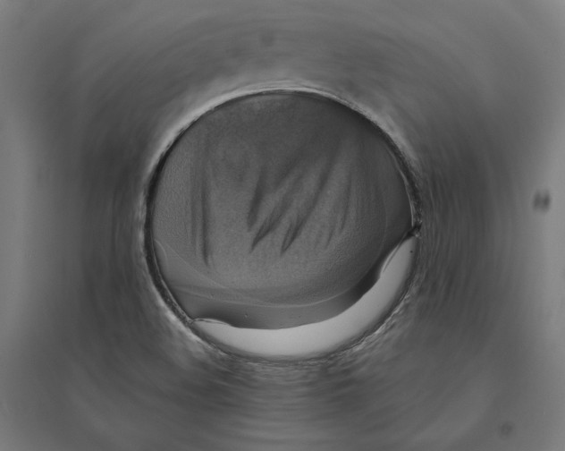 X0000094421508200712061039