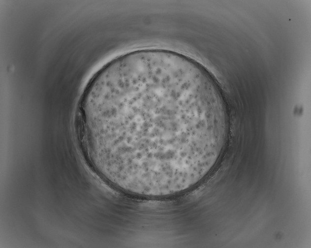 X0000094421510200712061039