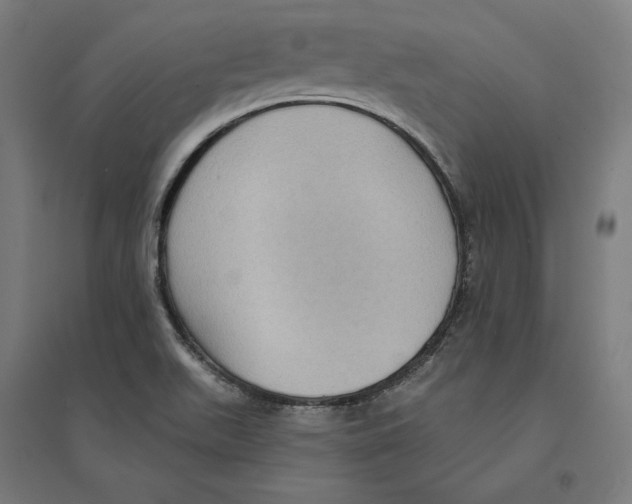 X0000094421511200712061039