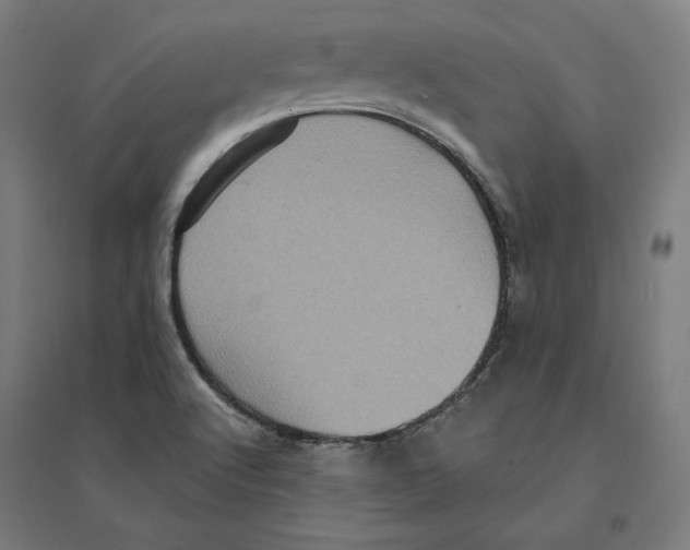 X0000094421512200712061039