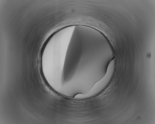 X0000094421515200712061039