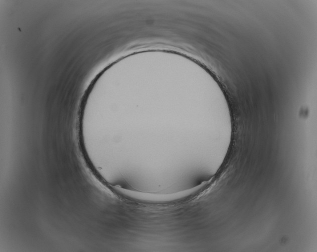 X0000094421518200712061039