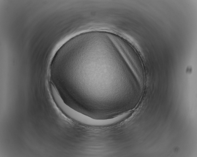 X0000094421520200712061039