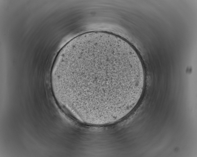 X0000094421521200712061039