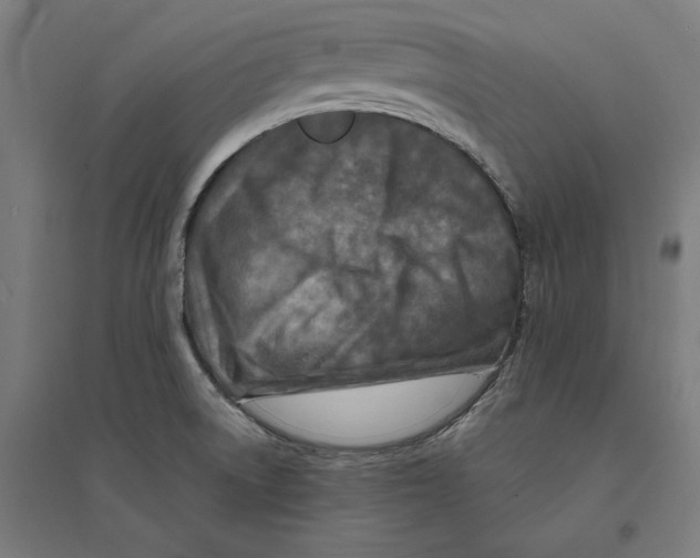 X0000094421522200712061039