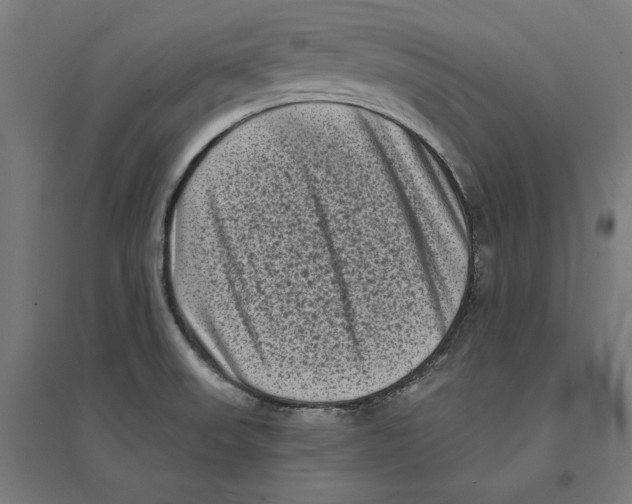 X0000094421523200712061039