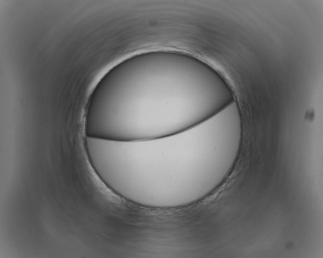 X0000094421524200712061039