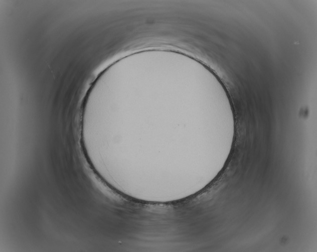 X0000094421526200712061039